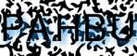 grafischer Sicherheitscode
