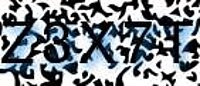 grafischer Sicherheitscode