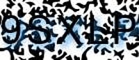 grafischer Sicherheitscode