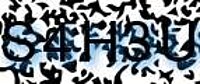 grafischer Sicherheitscode