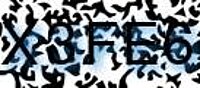 grafischer Sicherheitscode