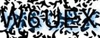 grafischer Sicherheitscode