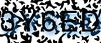 grafischer Sicherheitscode