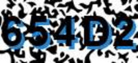 grafischer Sicherheitscode