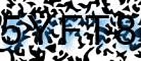 grafischer Sicherheitscode