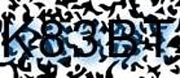 grafischer Sicherheitscode