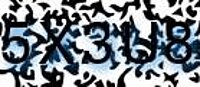 grafischer Sicherheitscode